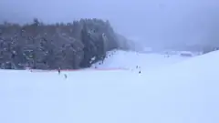天下森スキー場・天下森ゲレンデ